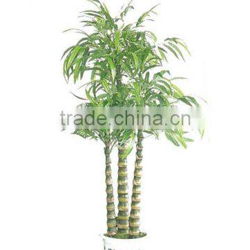 Artificial special bamboo trunk plant (Bambusa ventricosa)