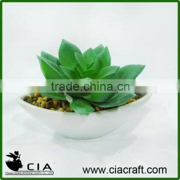 PVC Artificial Small Potted Echeveria in White Porcelain Pot for Wholeselling