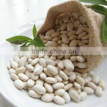 Good quality white kidney beans