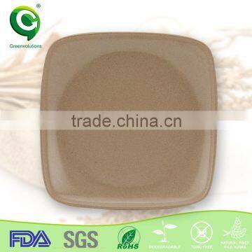 Custom Printed Wooden Dinner Plates for Restaurants photo-5