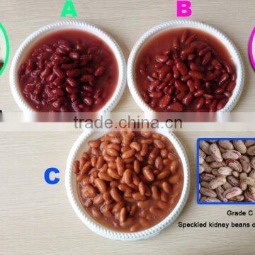 FACTORY SUPPLY A10 BRITISH RED KIDNEY BEANS