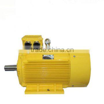 Y3 Low-Voltage Large-power Motor 185kw