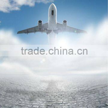 Air freight air forwarder from Shenzhen to Brunei