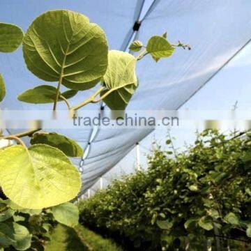 43 Grm HDPE Agriculture Leno Anti Hail Net photo-6