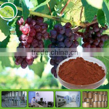 Free sample grape fruit seed extract GMP