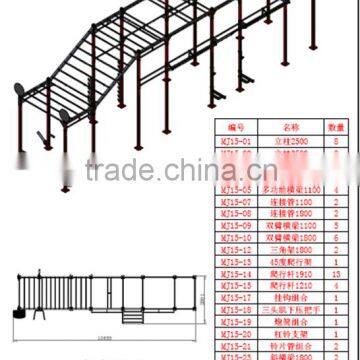 Gym crossfit equipment BWR012 More units combo/ crossfit rig/ fitness crossfit