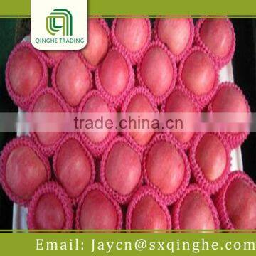 China Best Market Price Fuji Apple photo-4