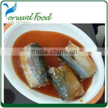 425G/240G CANNED MACKEREL IN TOMATO SAUCE