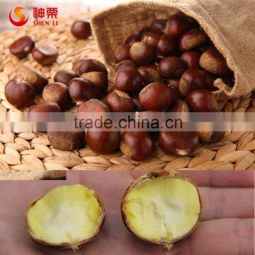Organic HALAL Snack Ready to Eat Chestnuts photo-6