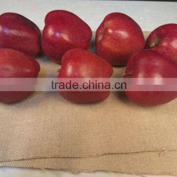 2016 New crop New season Huaniu apple Fresh apple China Gansu Tianshui apple