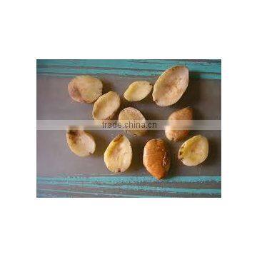 Irvingia Gabonensis Seeds photo-2