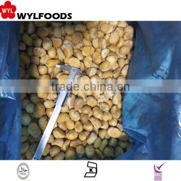 Iqf Chestnut Peeled With Good Quality photo-2