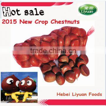 2015 new crop sweet and easy peeled chestnuts for sale