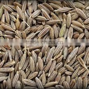 Cumin seeds