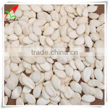 Different type of seeds pumpkin seeds snow white