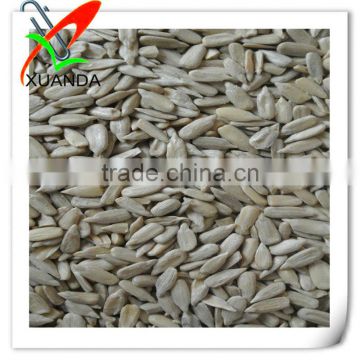 Confectionary grade sunflower kernels for baking and roasted 2014 crop