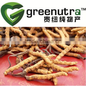 Chinese Caterpillar Fungus Extract