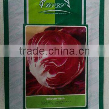 Red Ball Chicory Seeds Red No 2 photo-3