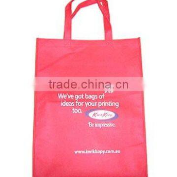 2013 New Shopping Bag