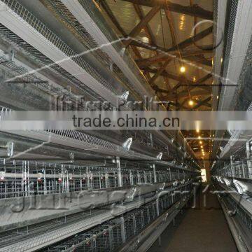 Battery Pullet Chicken Cage