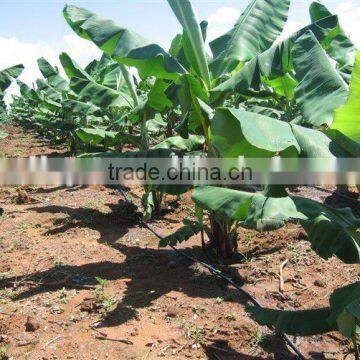 Agriculture Plastic Trickle Irrigation Tape for Irrigation System