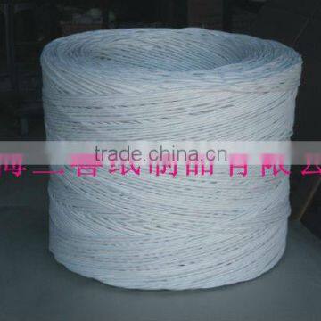 Durable craft paper rope for twisted paper handle