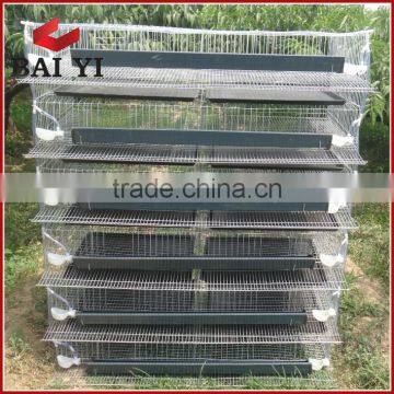 Automatic Quail Farming