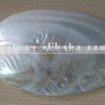 Wholesale Chinese Polished Raw River Shell photo-2