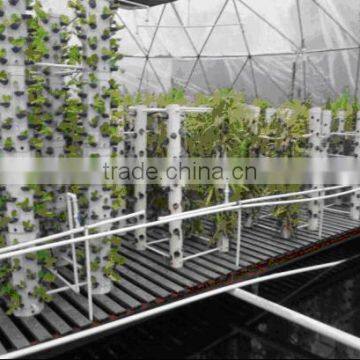 Spray cultivation stereo planting system