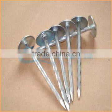 Top Quality Copper Roofing Roofing Nails Trusted Chuanghe Suppliers From Com photo-4