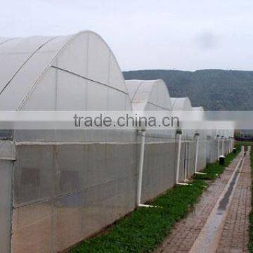 Multi-span pe Film Green House Tomato Green House Pepper Greenhouse photo-4