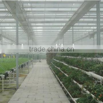 China factory greenhouses structure with hydroponic system