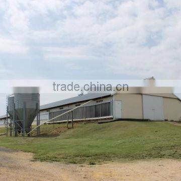 Poultry Feeding System Automatic Chicken House photo-3
