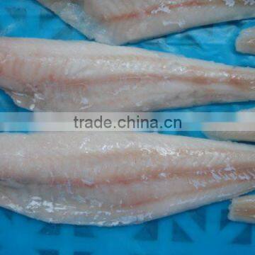 Frozen Alaska Pollock fillets