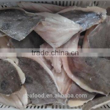 Frozen John Dory fillet 60-100g/100-150g/pc tuna fish processors