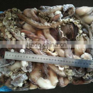 Frozen Giant Squid Peru Size 2kg Tentacles photo-2