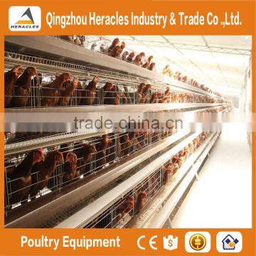 High Quality Cheap Poultry Cage Layer Chicken Used Chicken Cage photo-5