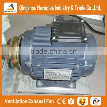 Heracles Industrial Exhaust Fan for Chicken Farm photo-5