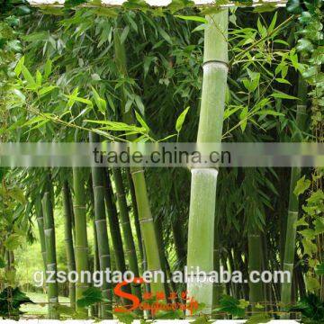 2015 Factory Direct Sale Fake Bamboo Plants, Artificial Bamboo Tree photo-4