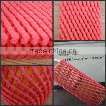 Customized OEM Fresh Guava Fruit Foam Net photo-6