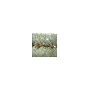 Sell Frozen White Shrimp Headon (China (Mainland))