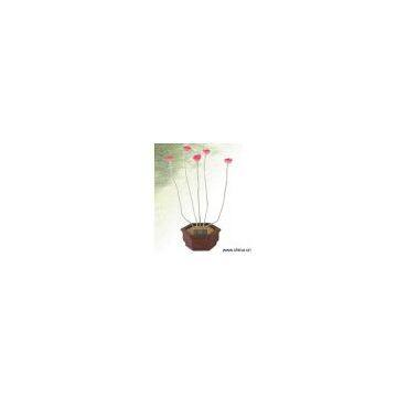 Sell Solar Flowerpot Light