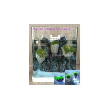 Avatar Pumice Stone, Aquarium Pumice Stone photo-2