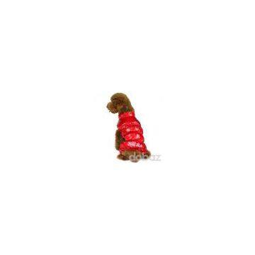 pet supplies--dog clothes ( 2010 new collection for dog clothing)