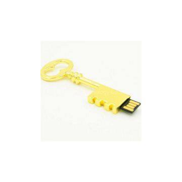 Golden Fashionable Key USB Flash Drives