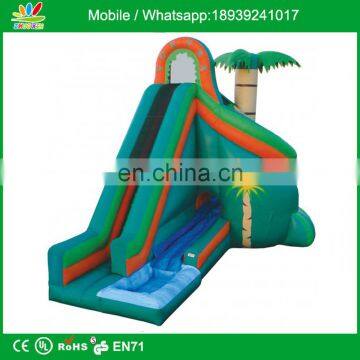 Vortex Tropical with Pool Inflatable Slide