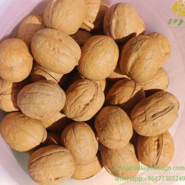 2020 The Best All Type New Crop Walnut Inshell photo-2