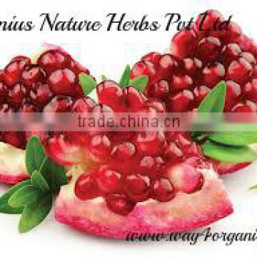 100% pure & Organic pomegranate seeds for OEM