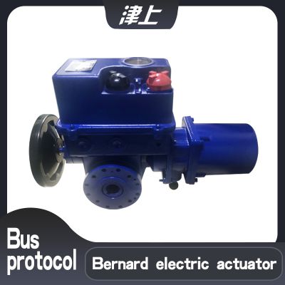 Bernard electric actuator BS-60/F30Z Angle stroke valve controller