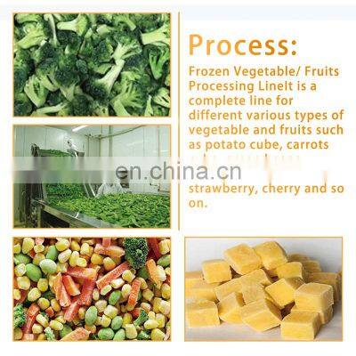 Frozen Mix Vegetable Potato and Fruit Vortex Washing Machine Vegetable Processing Line Machine photo-2